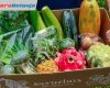 Belanja Sayur Online 1