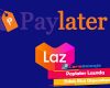 Paylater Lazada Tidak Bisa Digunakan